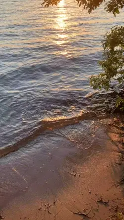 ไลฟ์​โฟโต้​