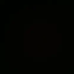 FLASH ⚠️ Export 🤍