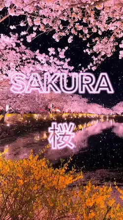 SAKURA cover