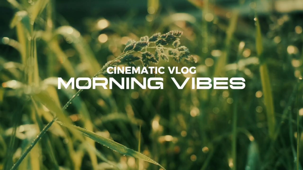 VLOG CINÉMATIQUE