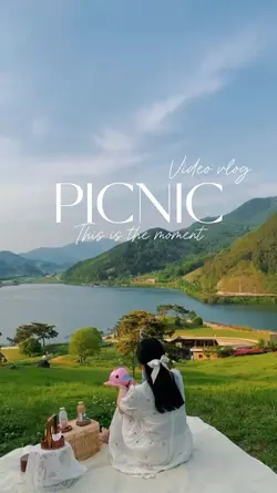 PICNIC