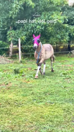 papi hat kein geld 🤗