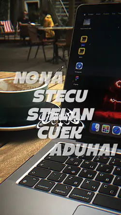 NONA STECU STELAN