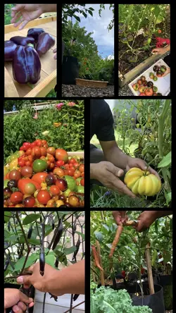 Gardening