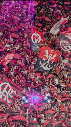 torcida do flamengo 