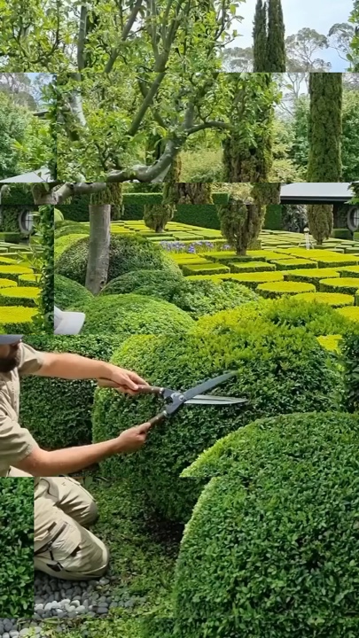 Jardinagem