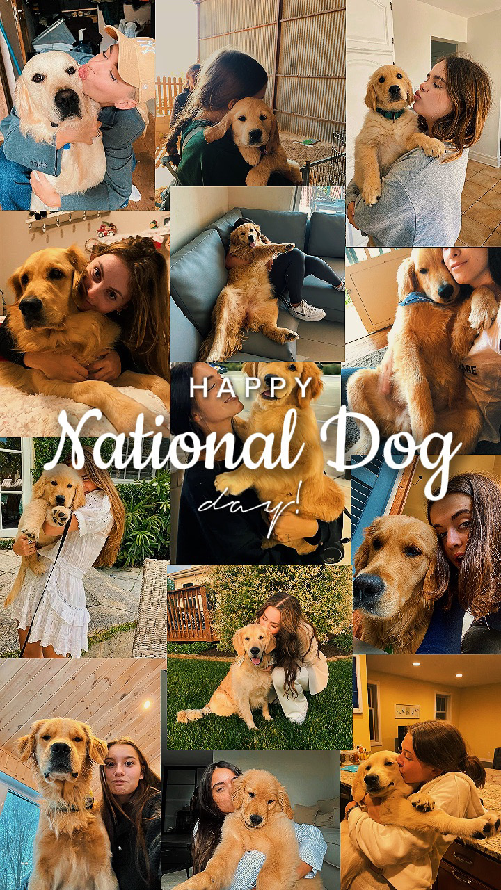 national dog day