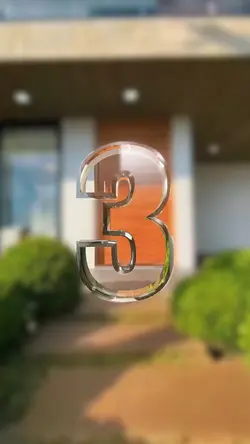 Edição Profissional 