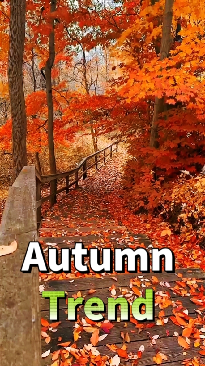 Autumn Trend 