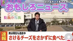 おもしろいテンプレ