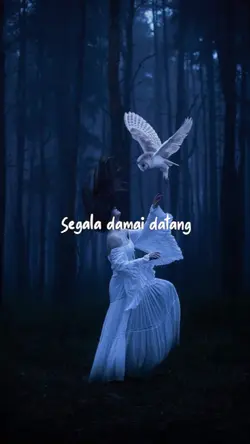 Bidadari Kesunyian 