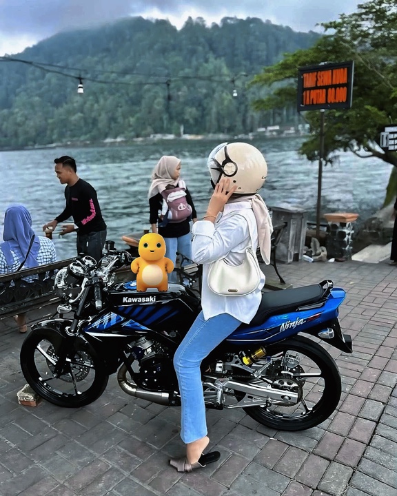 Cover Picture