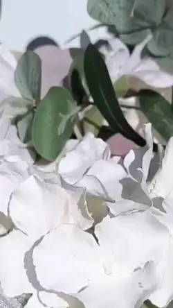 düğün nişan araba sü