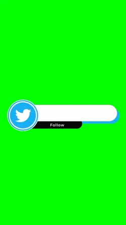 Twitter Follow 