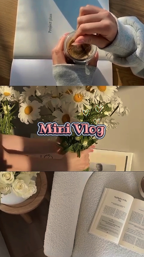 Mini-Vlog