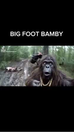 BIG FOOT VLOGS