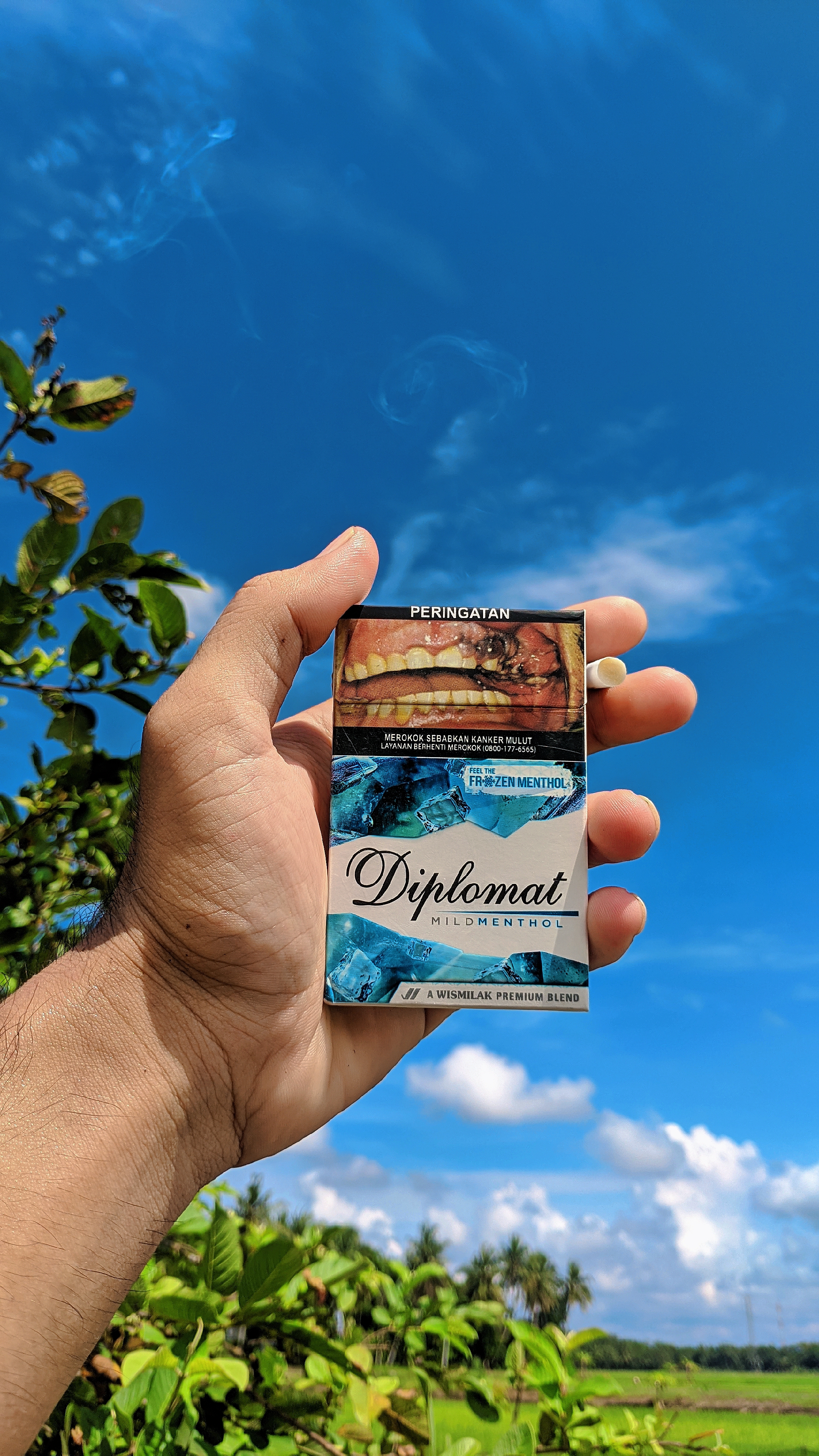 Cover Picture