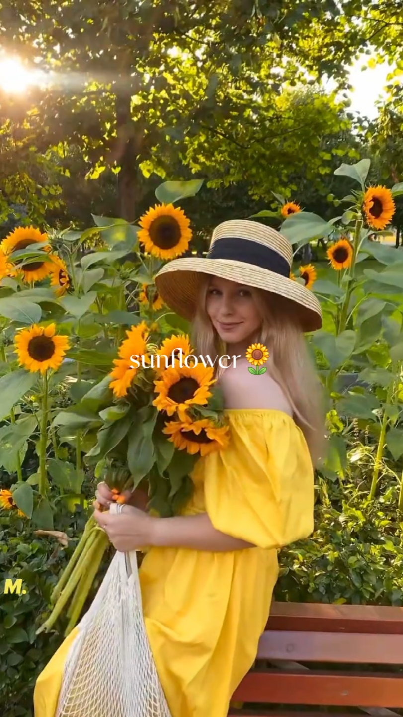 Flores de sol