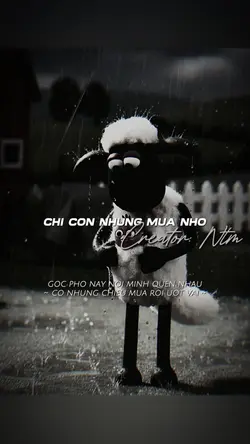 Góc phố này nơi mình
