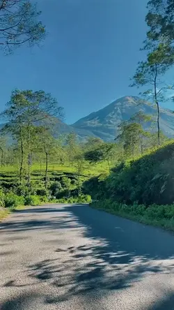 MARILAG