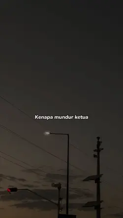 saya mundur ketua