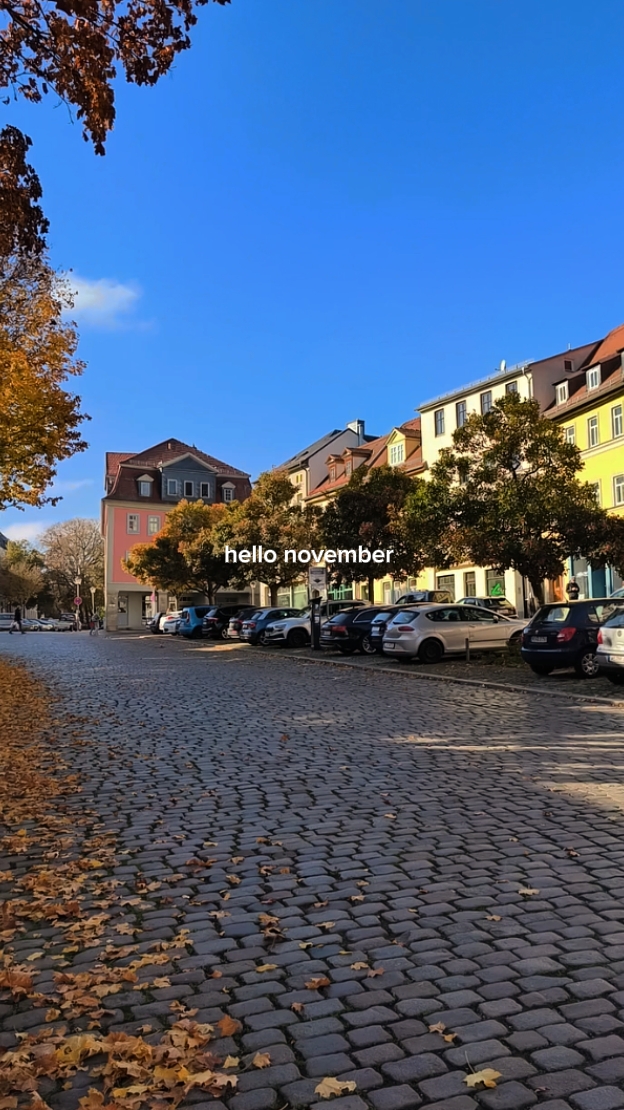 Hola noviembre