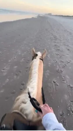 sunset trailride☀️