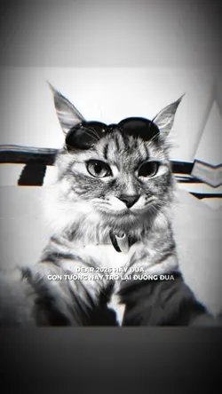 DEAR 2026 HÃY ĐƯA