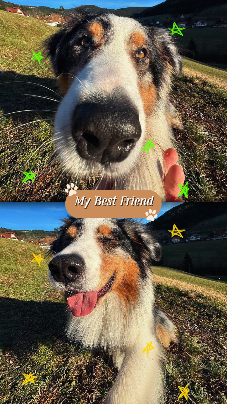 MY BEST FRIEND