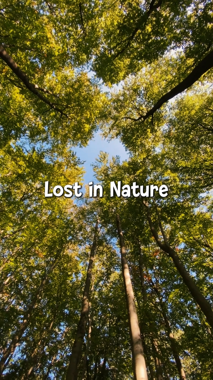 Lost in Nature