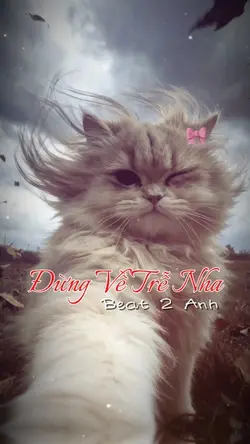 Đừng Về Trễ Nha 