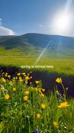 Spring is here