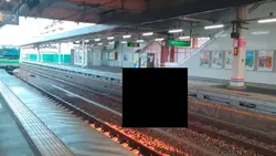 嫌いな人の顔入れよう!