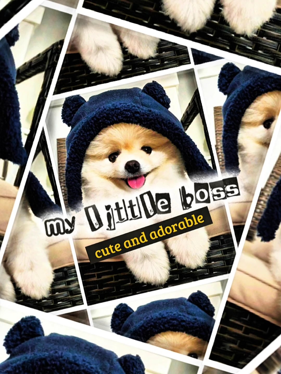 Cover Picture