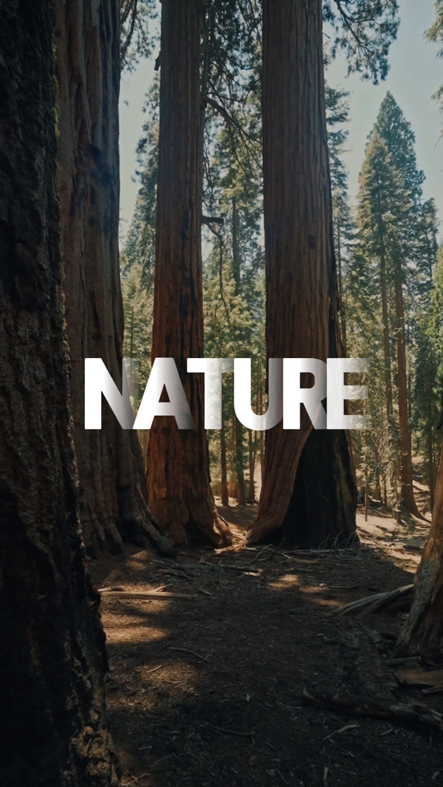 doğa