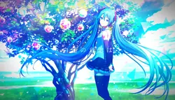 蜘蛛糸モノポリー