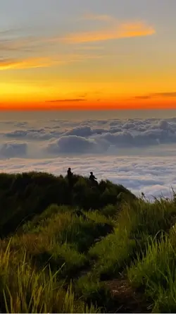 vibes senja digunung