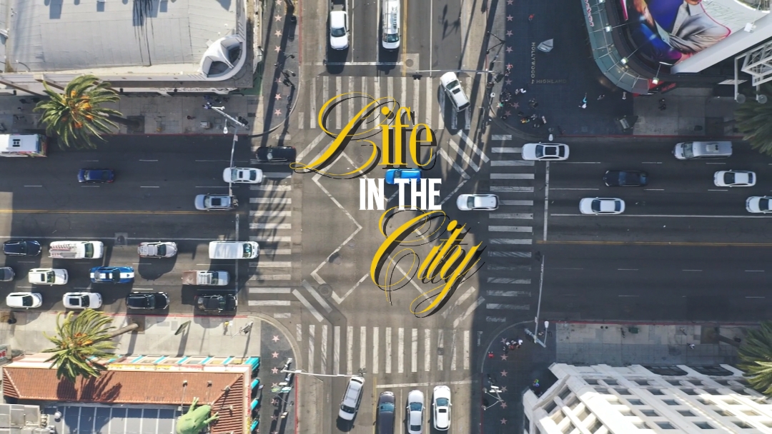 Life In The City