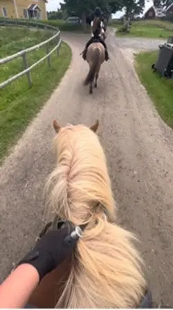 Älsklingen i ons❤️