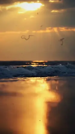 Slowmotion video 🌊✨