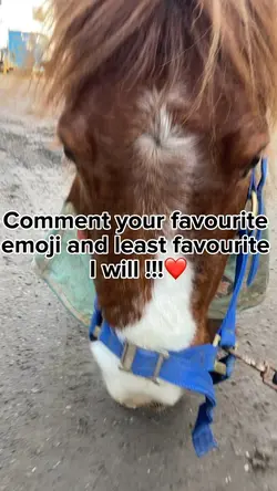 Emoji? This is figi❤️