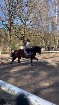 Horse riding
