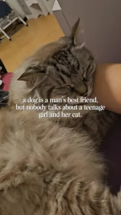 my cat 