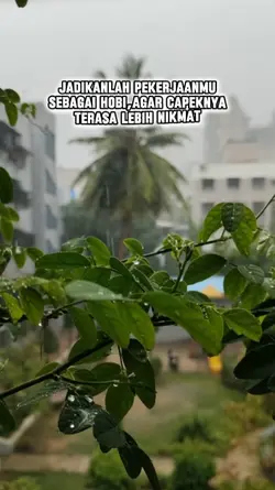 bahan story