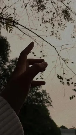 cinta dalam hati