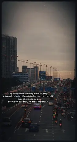 Mẫu 1 ảnh