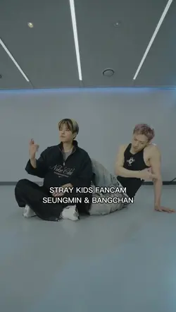 STRAY KIDS FANCAM