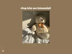 vlog için ses 