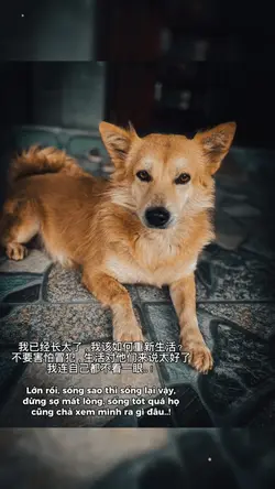 Sống sao, sống vậy