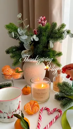 Thanksgiving vlog